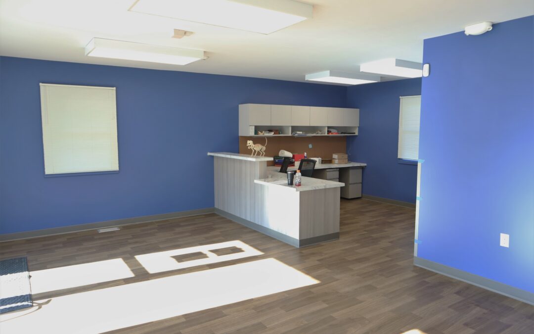 Pet Medical Center in Ames overhauled by Small Projects Group