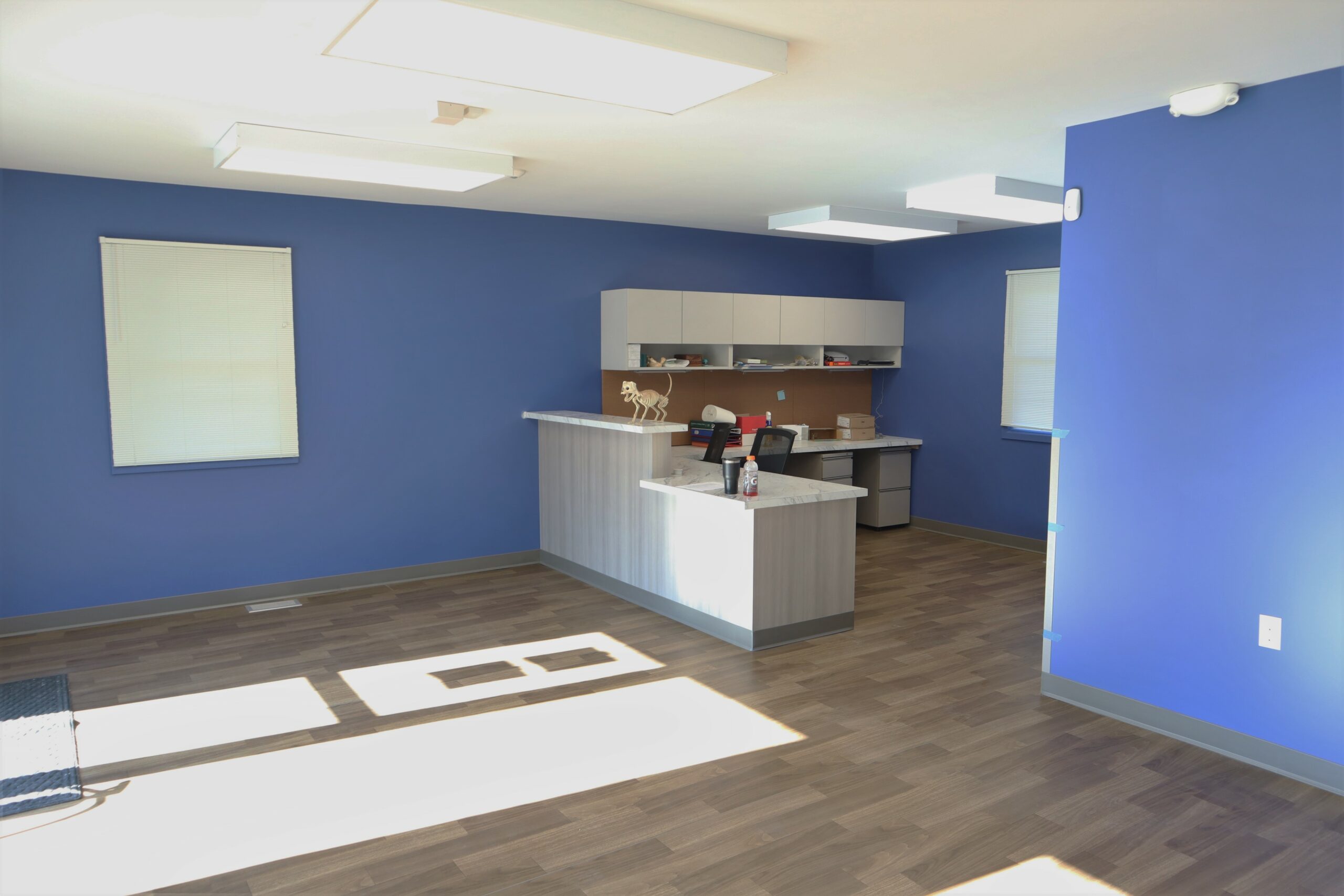 Pet Medical Center in Ames overhauled by Small Projects Group
